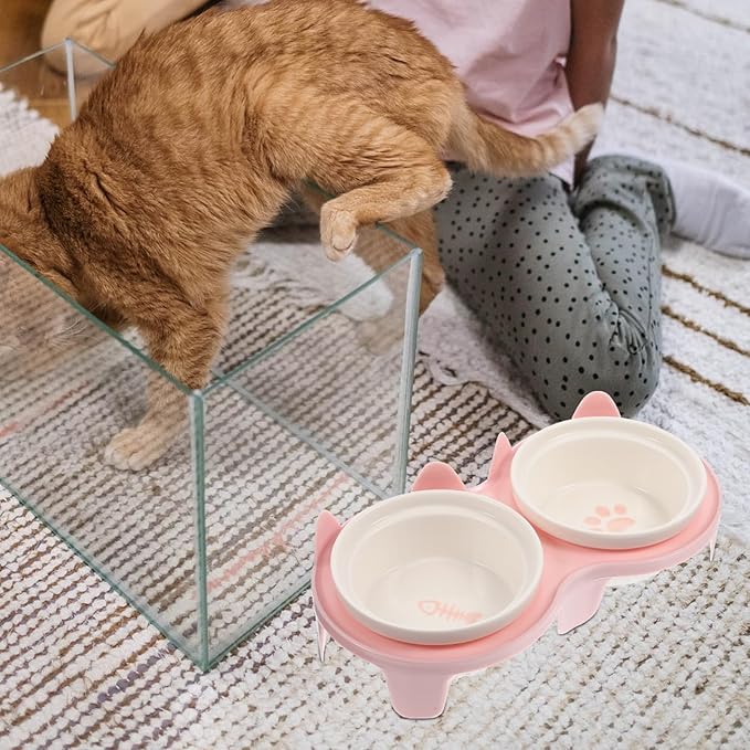 GLEAVI Ceramic Cat Bowl Elevated Double Feeding Bowl Sturdy Pink Non-Slip Stand for Cats Floor Feeding and Watering Supplies