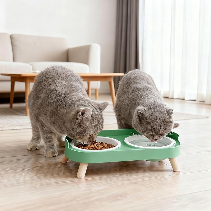 Elevated Cat Bowls, 2 Ceramic Raised Cat Food and Water Bowl Set, Prevent Cat Chin Acne, Whisker Fatigue Friendly, Splash Proof & Dishwasher Safe for Indoor Cats and Small Dogs - Green