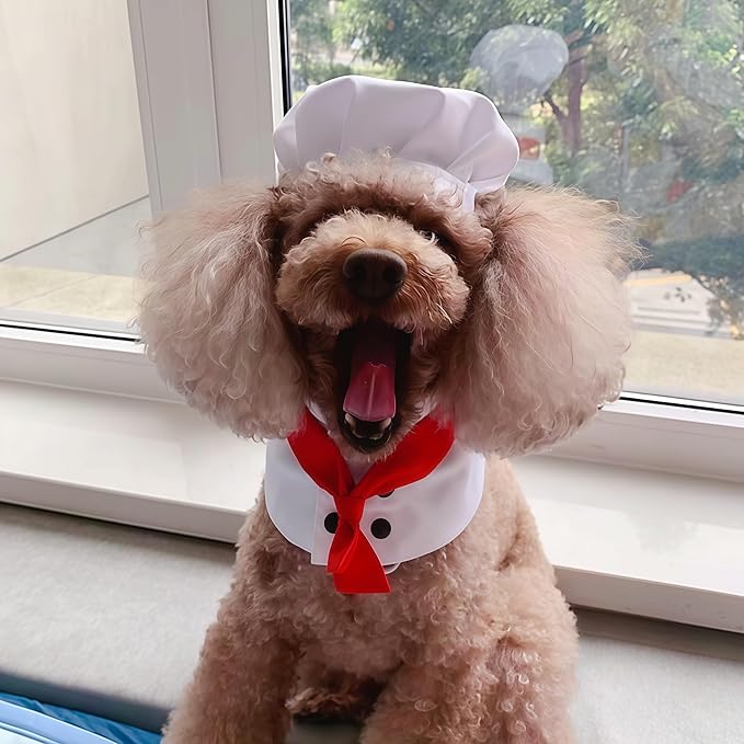 Pet Chef Hat and Collar Costume Set, Chef Outfit for Cats and Small Dogs