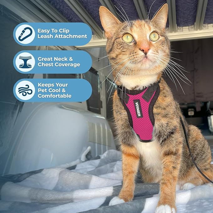 Voyager Escape-Proof Step-in Lock Cat Harness & 5ft Neoprene-Handle Leash Set All-Weather Mesh with Reflective Stitching for Small to Large Cats by Best Pet Supplies, Fuchsia/Black Trim, XS