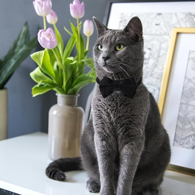 Mozeat Lens 2 Pcs Velvet Cat Collar Cute Cat Bow Tie Collar for Boy Cats Breakaway Kitten Collars with Bell Adjustable Puppy Bow Tie Collar Personalized Collars for Small Pets