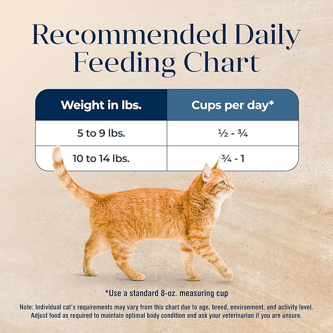 Blue Buffalo Basics Grain-Free Dry Cat Food, Skin & Stomach Care, Limited Ingredient Diet for Mature Indoor Cats, Turkey & Potato Recipe, 5-lb. Bag