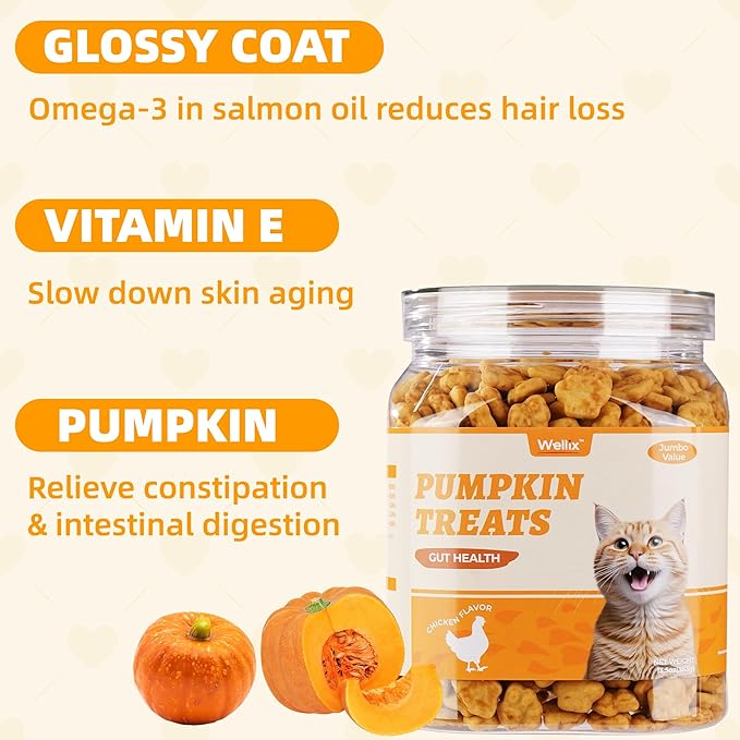 Wellix Cat Treats Pumpkin&Chicken & Pumpkin Raw Treat