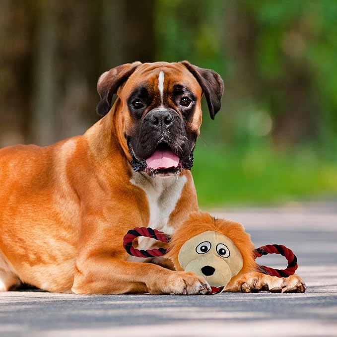 NHL Ottawa Senators Mascot Toy for Dogs & Cats. Cute & Entertaining Face with Heavy-Duty Ropes. 7" Chewy Cartoon Toy with Inner Squeaker