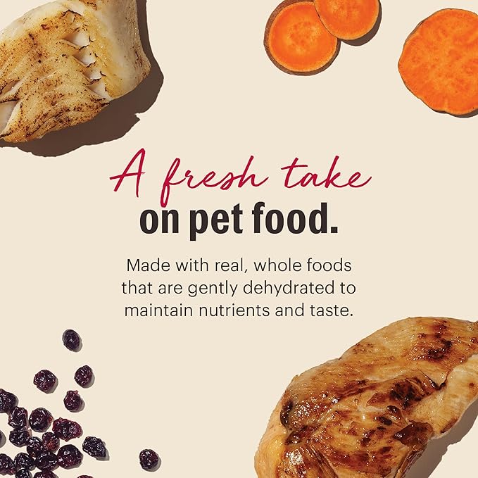 The Honest Kitchen Human Grade Dehydrated Grain Free Chicken & Fish Cat Food - Complete & Balanced Meal or Topper - 4 lb Box