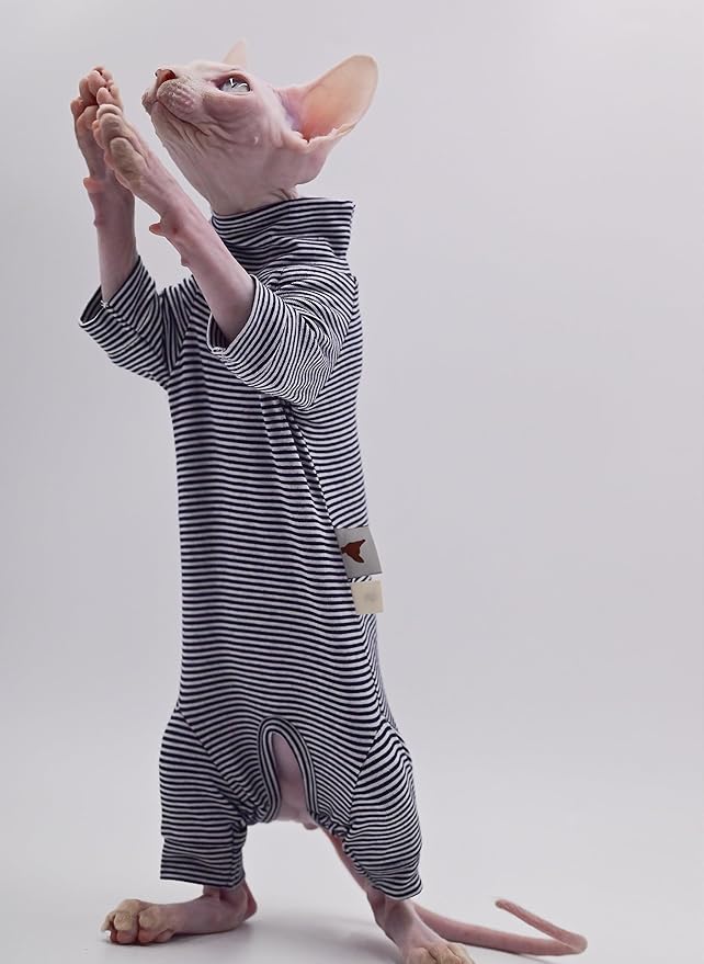 Sphynx Cat Clothes 4 Legs Pure Cotton Comfortable Stretch Hairless Cat Clothes, Devon Clothes, Kornish Clothes and Small Cats (Medium)