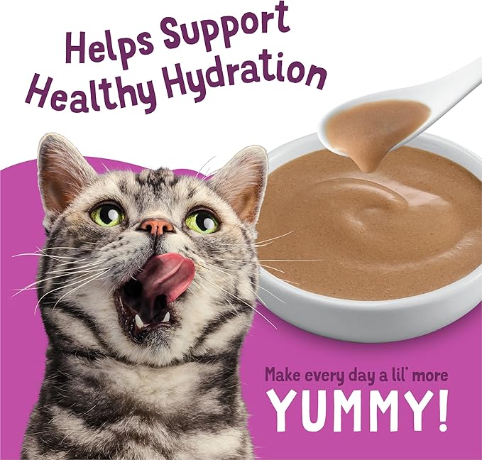 Purina Friskies Seafood and Poultry Faves Variety Pack Gravy Cat Food Complement - 24 ct. Box