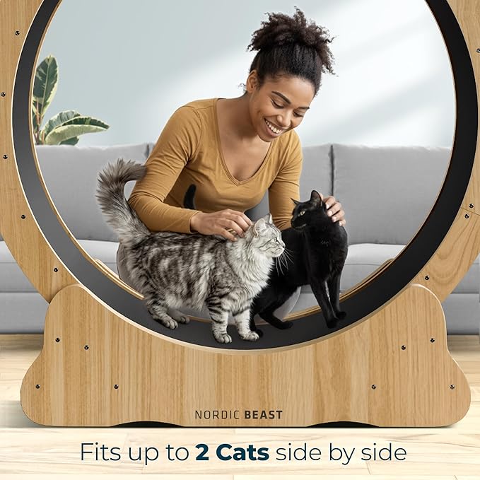 Walnut Wood 48'' XL Cat Wheel - Cat Wheels for Indoor Cats Which Doesn't Negatively Affect Your Cat's Spine - 15.7'' Extra Wide Walnut Exercise Wheel - Fits 2 Cats Side-by-Side, 1-Year Warranty