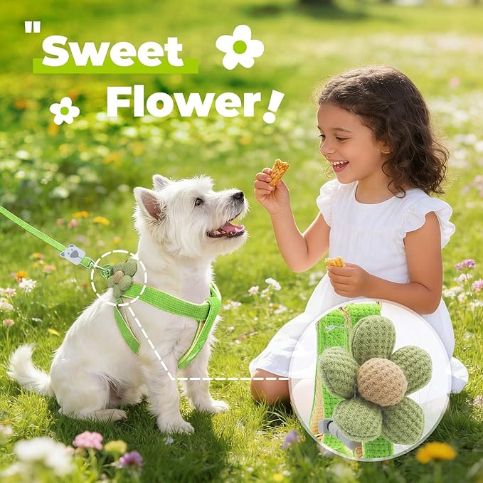 PETCARE Cute Flower Dog Harness and Bowtie Leash Set Easy Walk Puppy Dog Halter Harnesses for Small Dogs Boy Step in Dogs Harness with Buckle (Green, Chest Adjustable 11"-17", Rope Width 0.59")