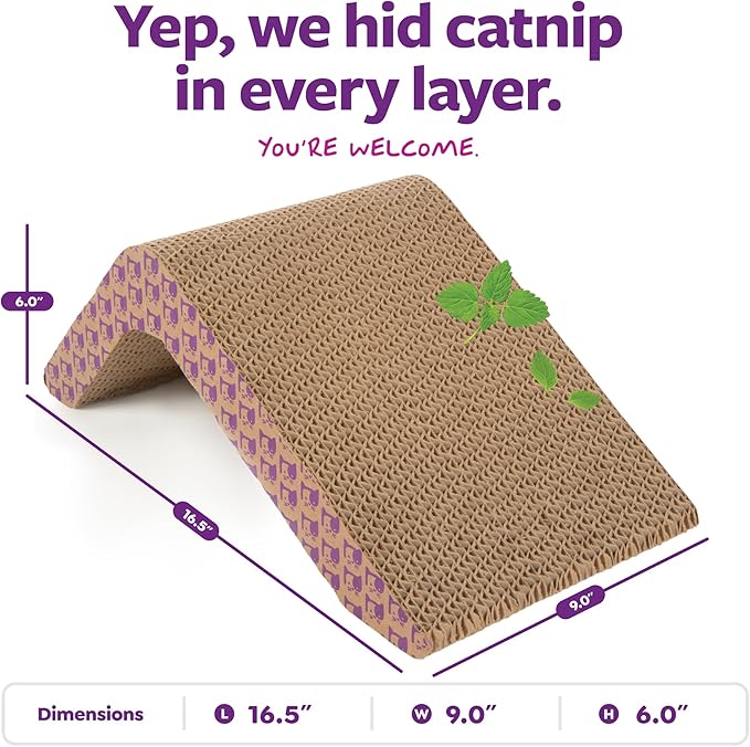 SmartyKat Scratch Ladder Angled Cat Scratcher with Catnip Infusion Technology, Versatile for Floor or Wall Use