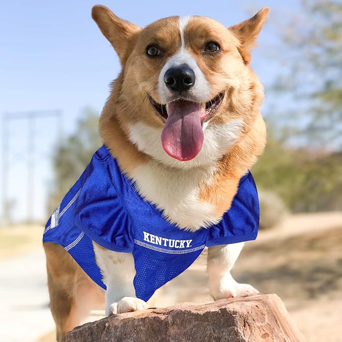 Pets First NCAA College Kentucky Wildcats Mesh Jersey for Dogs & Cats, X-Large. Licensed Dog Jersey with Your Favorite Football/Basketball College Team