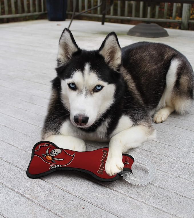 Pets First NFL Tampa Bay Buccaneers Football Dental Tough Dog TUG Bone Toy with Built-in Squeaker Attached to a Safe Rubber Teething Toothbrush PET Toy, Team Color, 14 x 5 (TBB-3310)