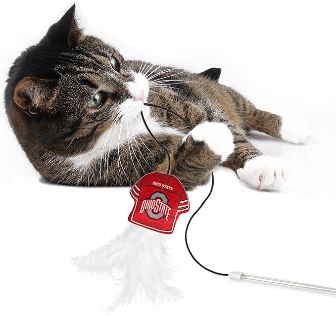 NCAA Ohio State Buckeyes Team Jersey Wand with CAT NIP, Cat Toy Jersey Shaped Plush Teaser Toy for Cats & Kittens - Interactive Pet Toy for Play & Exercise