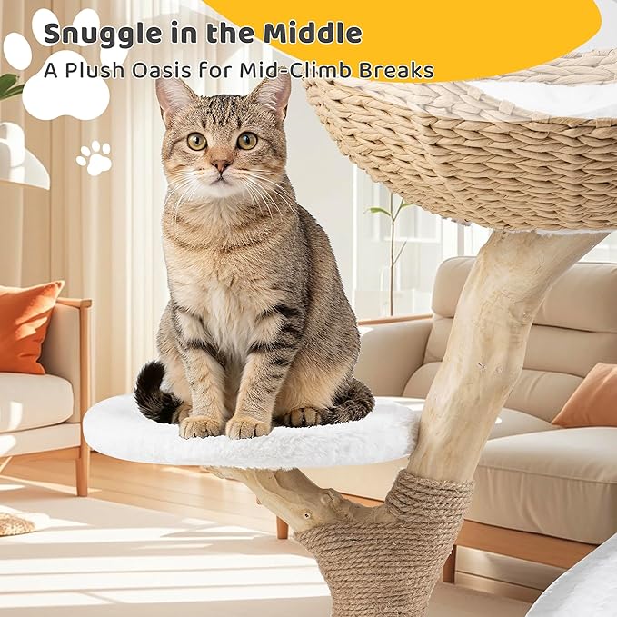 AQUILLA 30.7" Cute Cat Tree Tower for Indoor Cats, Fluffy Cat Condo with Seagrass Basket Bed, Furry Ball House, Sisal Scratching Posts & Stable Base, Beige