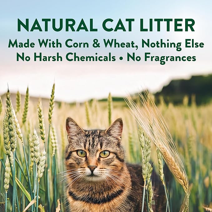 ARM & Hammer Plant Power Lightweight Plant-Based Clumping Cat Litter for Multi-Cat Homes, 14-Day Odor Control, Highly Absorbent Natural Grain Formula, Unscented 15 Lbs