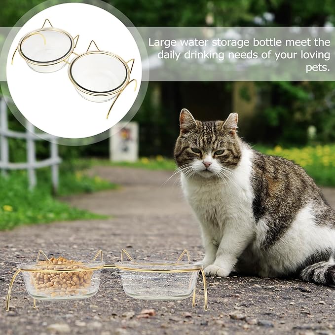 Toyvian Cat Feeding Bowl Set Raised Double Ceramic Bowls Iron Stand Angled Design Neck Protection for Cats Pet Feeding and Watering Supplies