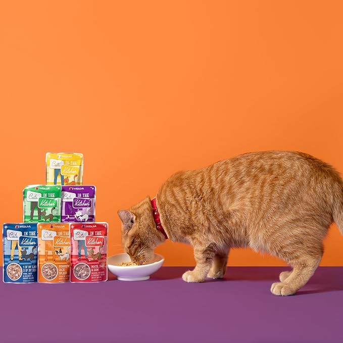 Weruva Cats in the Kitchen, Chick Magnet with Chicken & Mackerel in Gravy Cat Food, 3oz Pouch (Pack of 12)