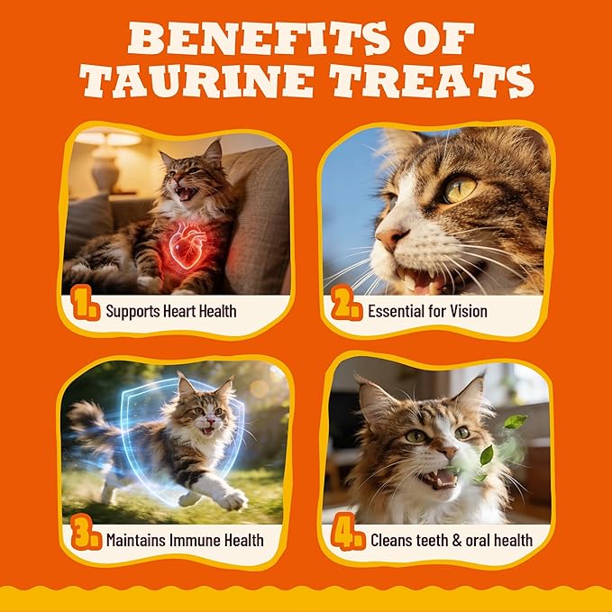 9 oz Taurine Cat Treats Taurine for Cats Chicken Flavor Cat Training Treats Cat Immune Support Healthy Cat Snacks