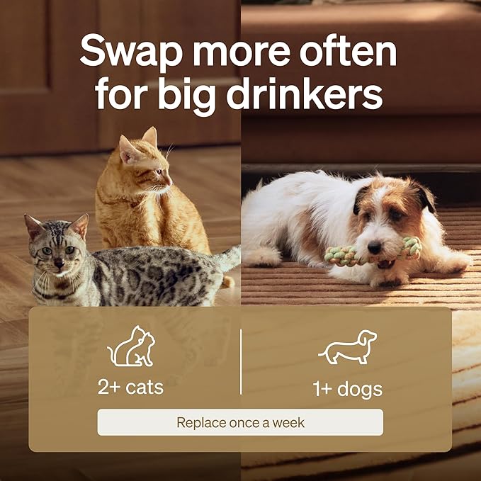 Bundle of PETLIBRO App Cat Water Fountain, 2.5L/84oz Dockstream Pet Fountain for Cats Inside with 2.4GHz Wi-Fi + PETLIBRO 8 Pack Replacement Filters for Dockstream Cat Water Fountain