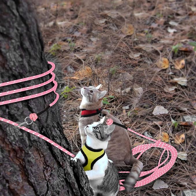 Rypet Reflective Cat Long Leash - 30 FT Escape Proof Walking Leads Yard Long Leashes Durable Safe Personalized Extender Leash Traning Play Outdoor for Kitten, Puppy, Rabbit and Small Animals(Pink-M)