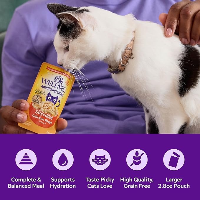 Wellness Appetizing Mousse Flaked Adult Wet Cat Food, Natural, Protein Rich, Grain Free, Chicken and Lamb Recipe, 2.8 oz, Pack of 8 Pouches