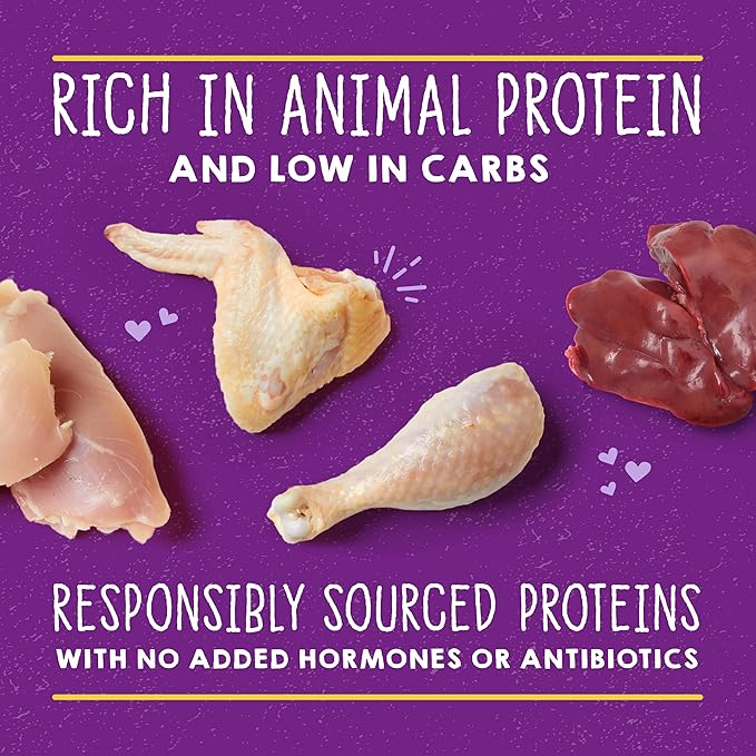 Stella & Chewy's Carnivore Cravings Purrfect Paté - Premium Grain-Free Wet Cat Food - Chicken & Liver Recipe - High Protein with Bone Broth - Perfect for Picky Eaters - 2.8oz Cans (24 Pack)