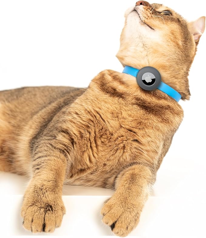 Nuvuq Cat Collar with Airtag Holder - Soft, Comfortable, and Lightweight Breakaway Collar with Air Tag GPS Tracker Holder for Outdoor Cats and Sensitive Skin Kittens by Nuvuq (6 ⅞" to 10 ¼", Blue)
