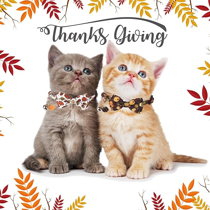 ADOGGYGO Thanksgiving Cat Collar Breakaway with Removable Bowtie Bell - 2 Pack Fall Pumpkin Kitten Bow Collar Thanksgiving Bowtie Collars for Cats Kittens
