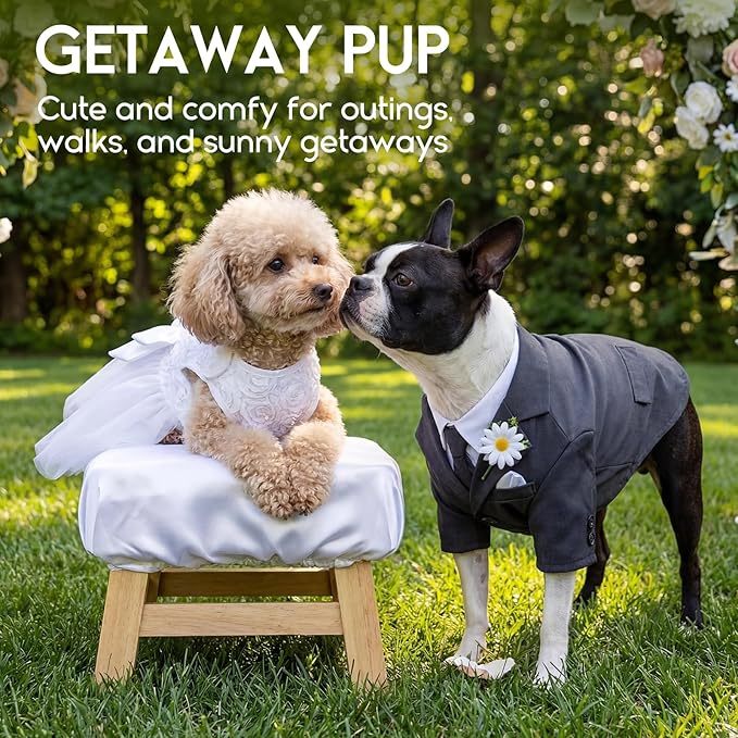 ASENKU Dog Dress Pet Wedding Dress Princess Lace Puppy Birthday Party Outfit Formal Apparel Girl for Small Medium Dogs Cats (Small, White)
