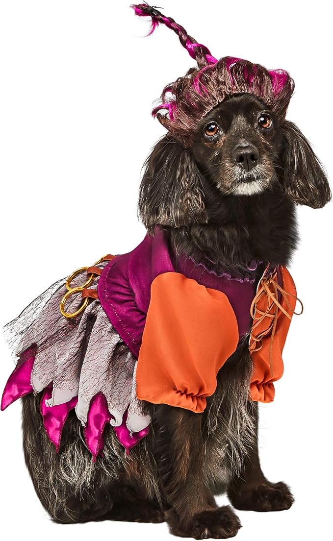Rubies Disney Hocus Pocus Mary Sanderson Pet Costume and Wig