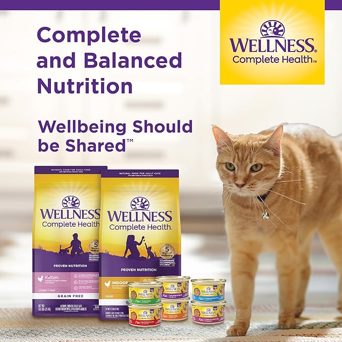 Wellness Complete Health Adult Dry Cat Food for Indoor Cats, Natural, Grain Free Kibble, Chicken Recipe, 11.5 lb Bag