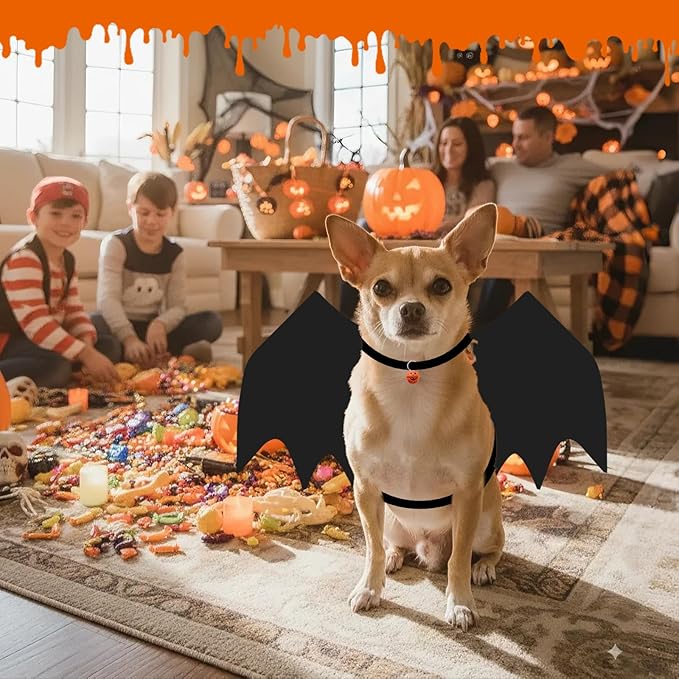 OLANRUN Cat Halloween Costume, Small Dog Halloween Costumes - Bat Wing with Pumpkin Bell for Pet Halloween Cosplay Party Dress Up Accessories (Large)