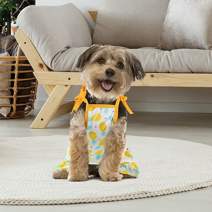 Frienda 4 Pieces Dog Clothes Set Include 2 Pcs Cute Pet Dress Lovely Dog Dress and 2 Pcs Breathable Pet T Shirt Puppy Clothes(Pineapple, Sunflower,Large)