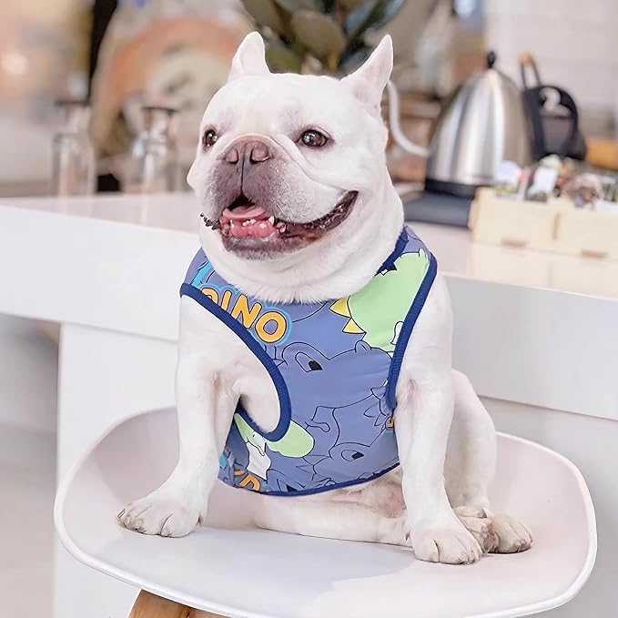 Frenchie Clothes Dog Shirts For Small Medium Dogs Boy, Cute French Bulldog Clothes Halloween Costume Sweatshirts, Funny Dinosaur Shirts For Dogs and Cats, Frenchie Chihuahua Corgi, Blue,2XL