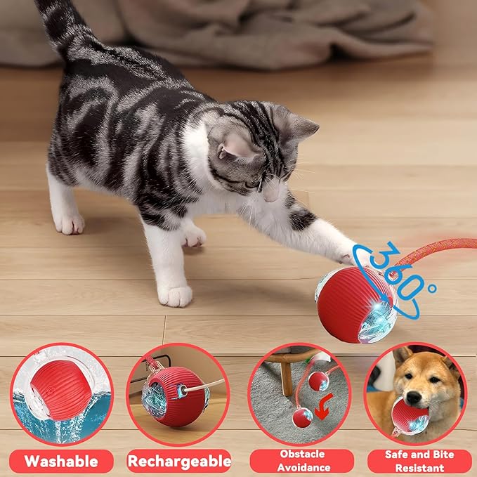 Valentines Day Gifts Speedy 2.0 Tail Interactive Cat Toys for Indoor Cats, Automatic Cat Toy with Elastic Mesh Tail, Electric Rolling Ball on Carpet, Chirping and Motion Activate Cat