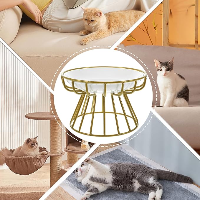 VILLCASE Elevated Ceramic Cat Bowl with Metal Rack Raised Anti-Vomiting Whisker Relief Feeder for Cats Includes Single Fishbone Plate and Gold Iron Stand Feeding and Watering