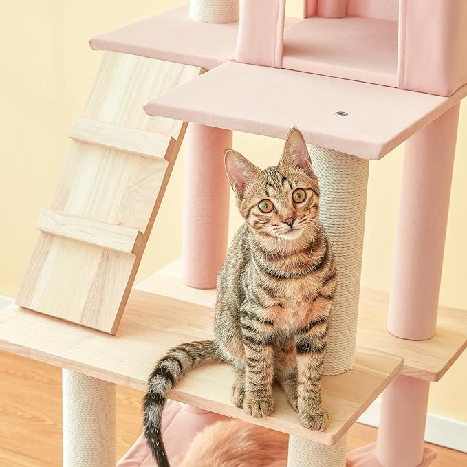 MWPO Pink Modern Cat Tree for Indoor Cats, 63.8-Inch Multi-Level Tall Cat Tower with Cat Condo, Hammock, Woden Top Perch, Scratching Posts for Kittens & Adult Cats