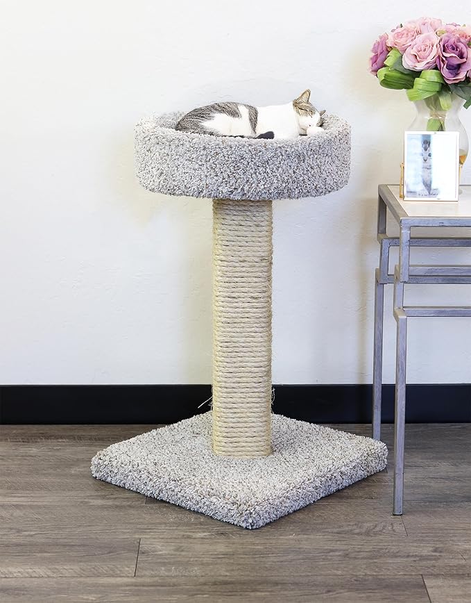 2-Pack New Cat Condos Cat Scratching Post with Sleeping Perch