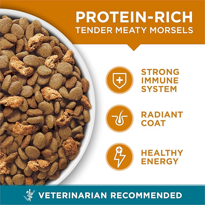 Purina ONE Natural Dry Cat Food, Tender Selects Blend With Real Chicken - (Pack of 4) 3.5 lb. Bags