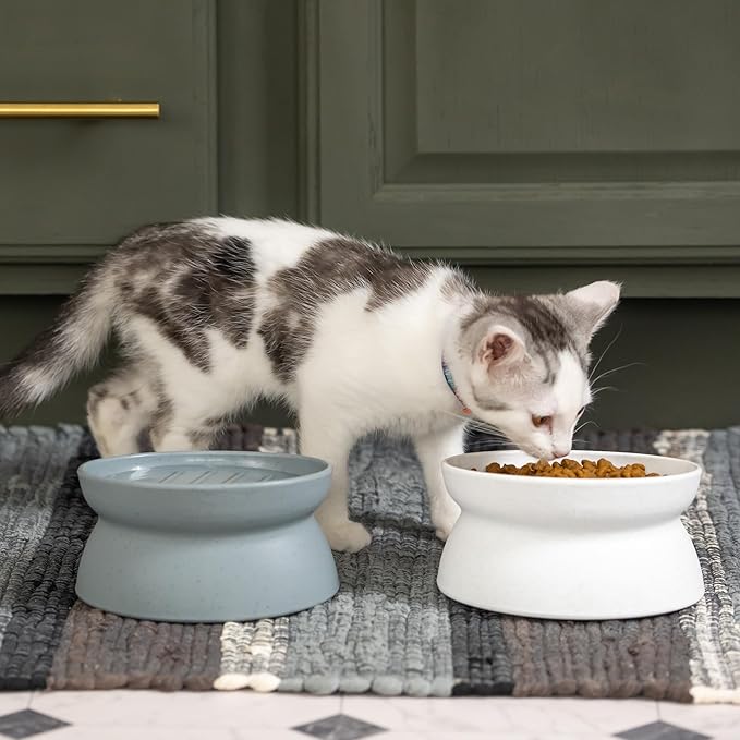 Kitty City Elevated Slow Feeder Cat Bowls (Set of 2), Whisker-Friendly Raised Cat Food Dishes with Ridges, Helps Reduce Fast Eating & Digestion Issues, Dishwasher Safe, 6.5 oz – White & Gray