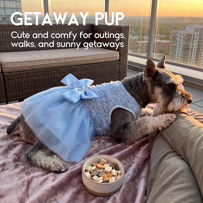 ASENKU Dog Dress Pet Wedding Dress Princess Lace Puppy Birthday Party Outfit Formal Apparel Girl for Small Medium Dogs Cats (Small, Blue)