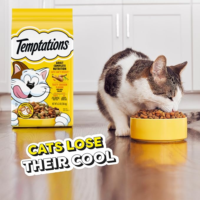 Temptations Tasty Chicken Flavor Adult Dry Cat Food, 6.3 lb. Bag (Pack of 3)