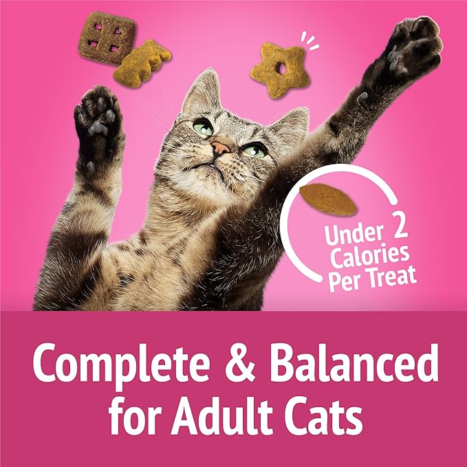Purina Friskies Party Mix California Crunch with Chicken and Flavors of Turkey and Bacon Cat Treats - 20 oz Canister