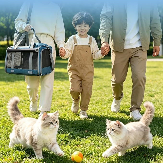 Pet Carrier for Medium-Small Cats, Collapsible Cat Carrier and Soft-Sided Pet Carrier for Medium Big Cats and Puppy Up to 17lbs, 2-Way Entry with Privacy Cover, Travel Bag L18.9”X11.42”X11.42”