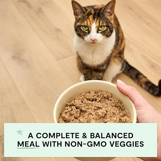 Open Farm Canned Cat Food, Pate for Complete & Balanced Nutrition, Grain Free and Legume-Free Wet Cat Food, Salmon Recipe, 2.8oz Cans (Case of 18)