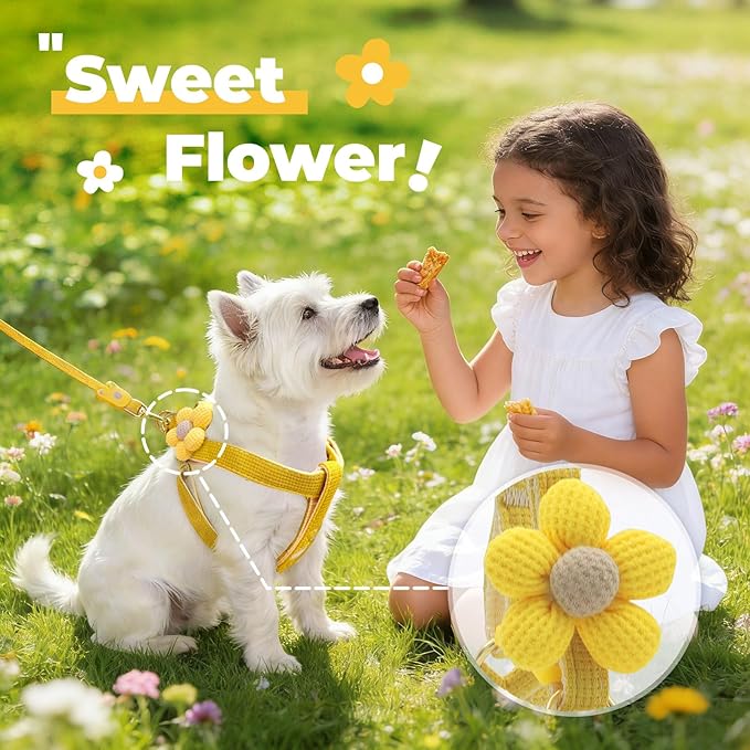 PETCARE Cute Flower Dog Harness and Bowtie Leash Set Easy Walk Puppy Dog Halter Harness for Small Dogs Girl Step in Dogs Harnesses with Buckle (Yellow, Chest Adjustable 11"-17", Rope Width 0.59")