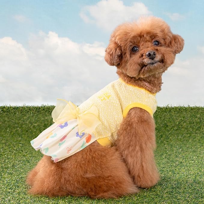 Pinkaholic New York Alice Dog One-Piece Dress Trendy Fashionable Cute Elegant Dog Apparel for Small Dogs, Yellow, Large