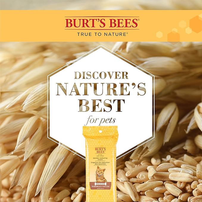 Burt's Bees for Pets For Cats Natural Dander Reducing Wipes | Kitten and Cat Wipes For Grooming, | 50 Count Cat Wipes for Dander Control - 6 Pack (300 Wipes Total)