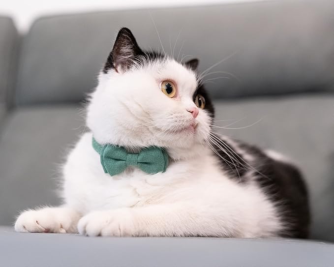 Cat Collar with Bow Tie Bell Breakaway Kitten Small Pet Safety Solid Wedding Basic Pure Color Suede Soft Adjustable [1pc] Green