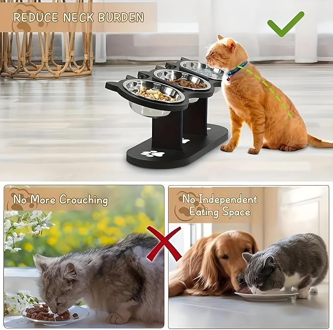 15° Tilt Elevated Stainless Steel Cat Bowl, Wooden Stand Pet Food Water Feeding Dish